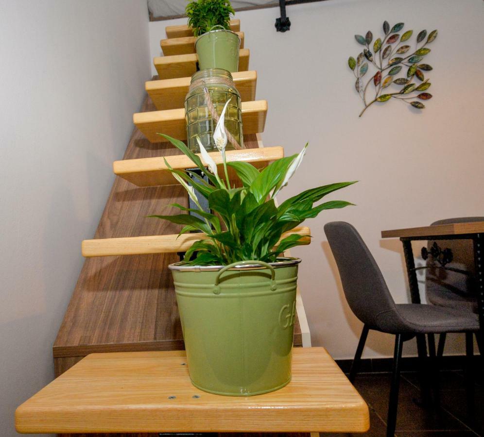 Vintage Garden Apartment プーラ エクステリア 写真