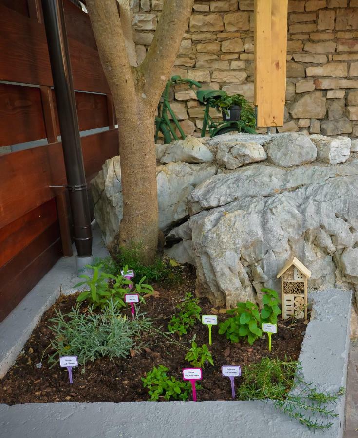 Vintage Garden Apartment プーラ エクステリア 写真